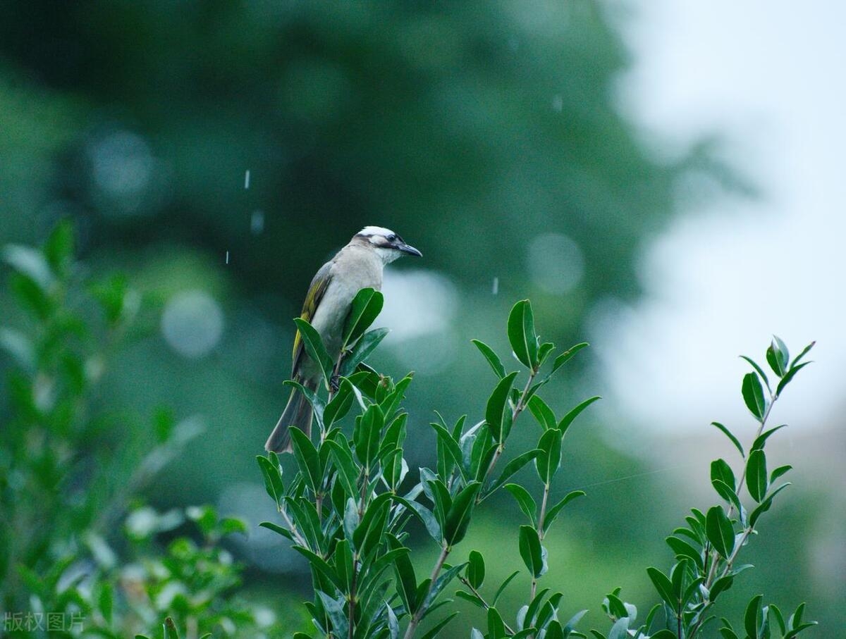 一句话情有独钟的唯美句子，甜蜜暖心，深情撩人(图5)