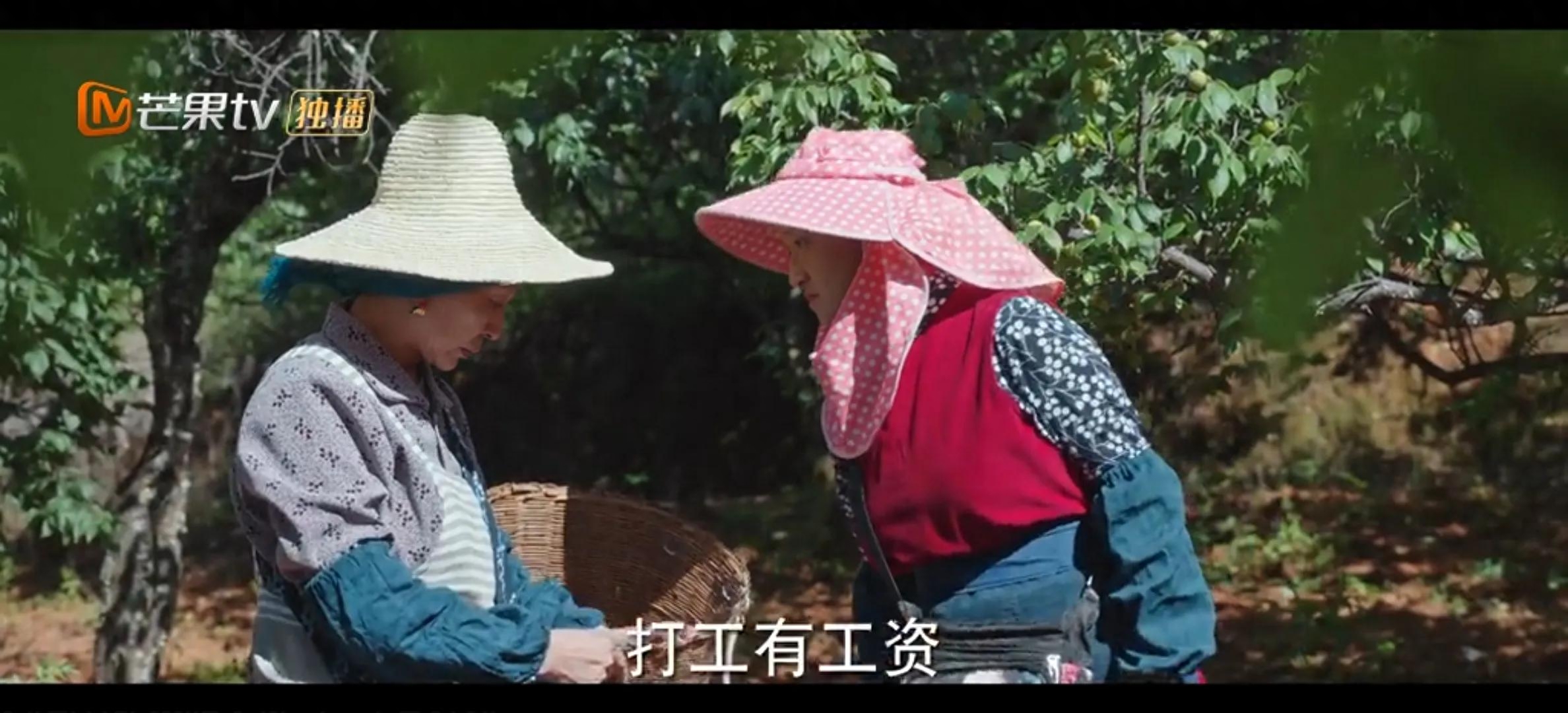 《去有风的地方》太喜欢这心直口快的阿桂婶了，说的话句句哲理(图6)