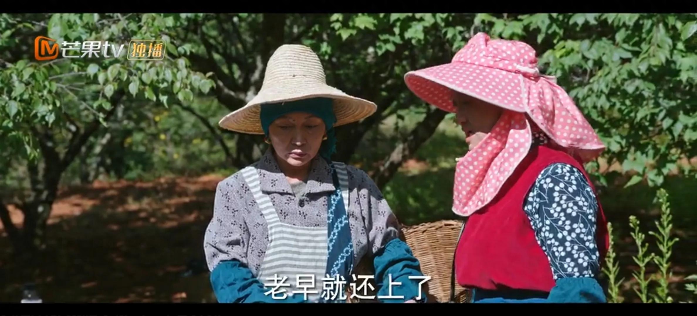 《去有风的地方》太喜欢这心直口快的阿桂婶了，说的话句句哲理(图7)