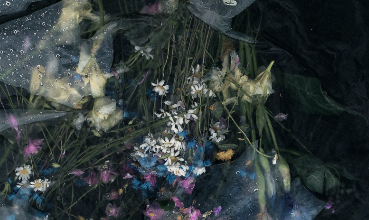 致内向的你——来自i人编辑的一封信(图1)