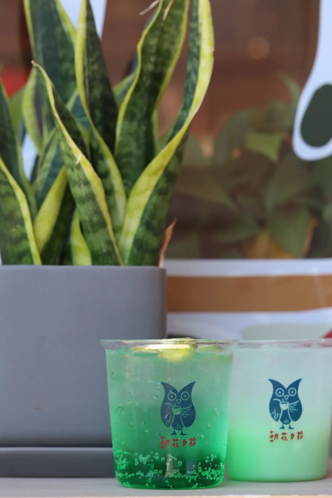 致内向的你——来自i人编辑的一封信(图6)