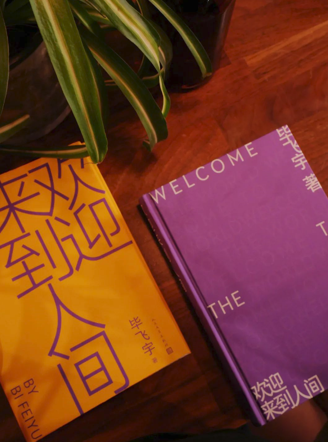 致内向的你——来自i人编辑的一封信(图7)