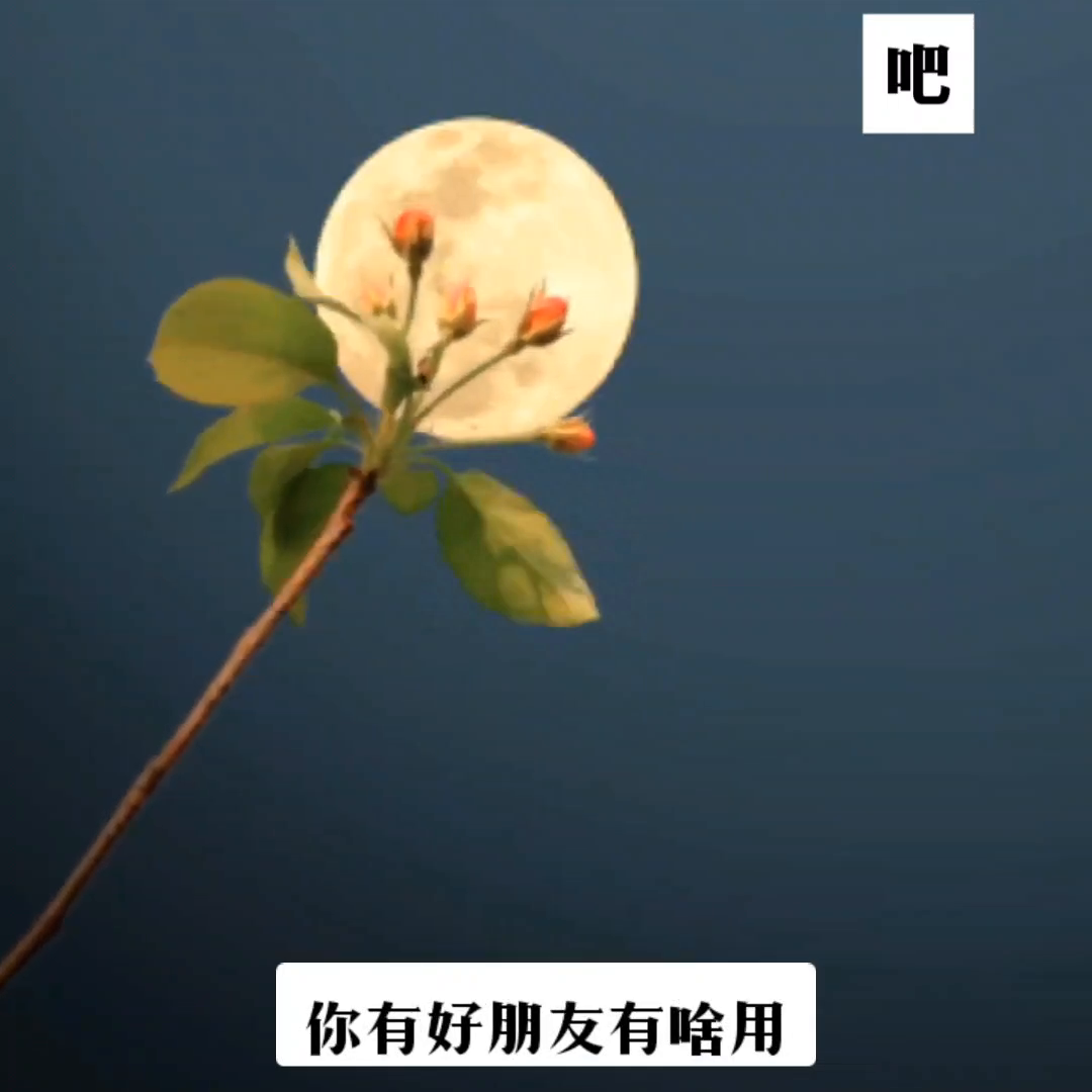 #走自己的路讓別人說去吧(图1)