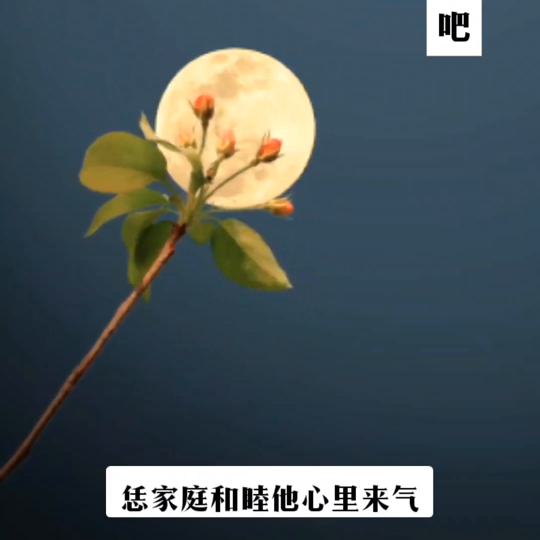 #走自己的路讓別人說去吧(图2)