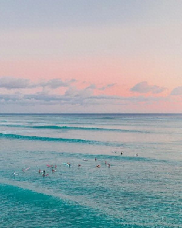 致我们，等风来，不如追风去(图2)