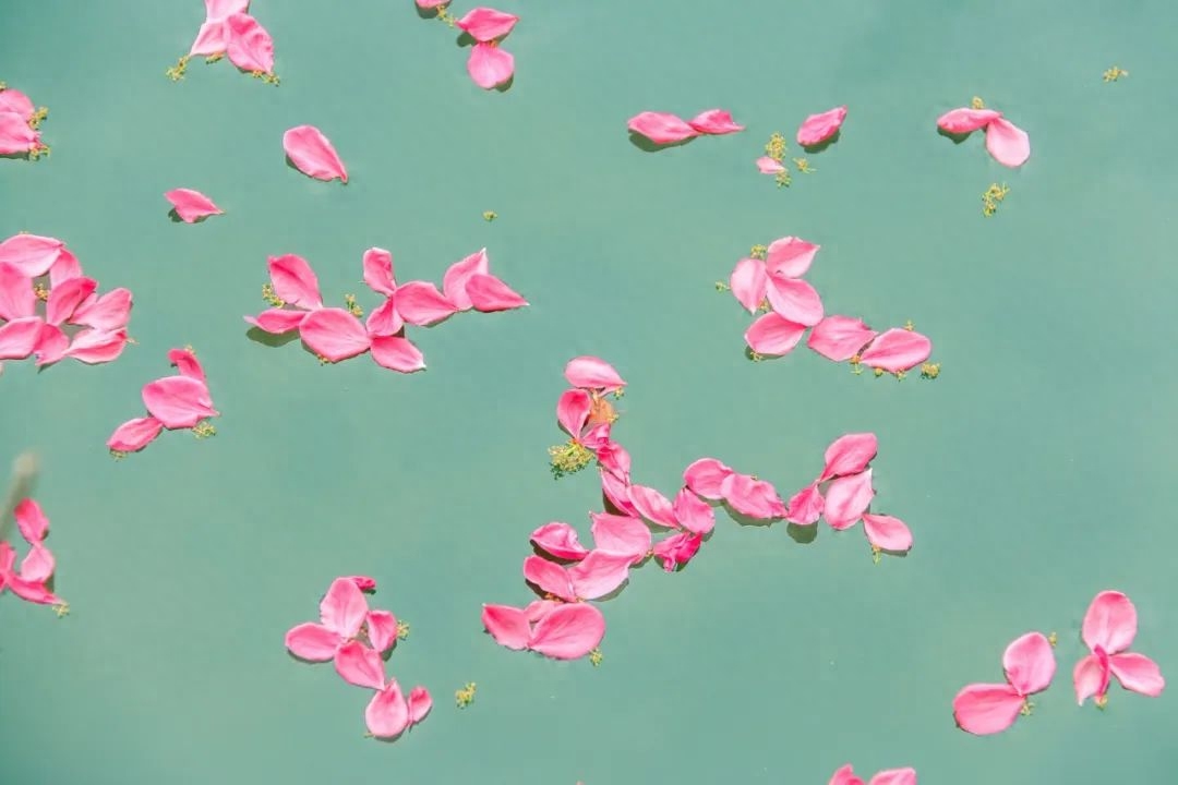 史上最美的一首春夜诗，中间10个字美到灵魂里(图3)