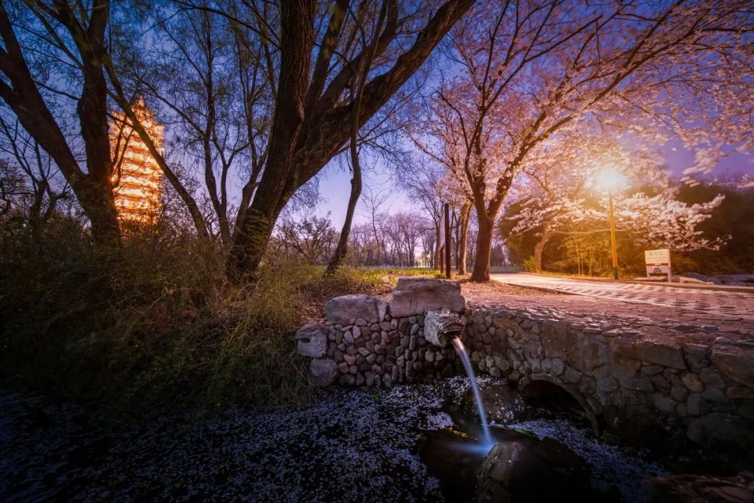 史上最美的一首春夜诗，中间10个字美到灵魂里(图4)