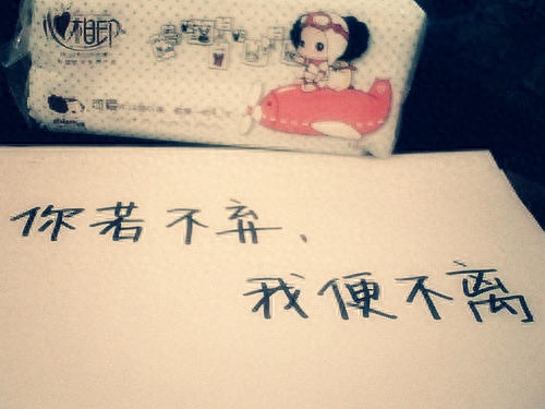 你若不离，我便不弃，心若不动，风又奈何(图1)