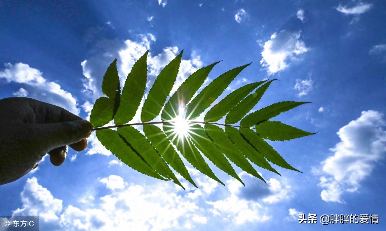 时光静美，岁月轻柔，拈一颗淡然的素心，风轻云淡，随缘自在(图3)