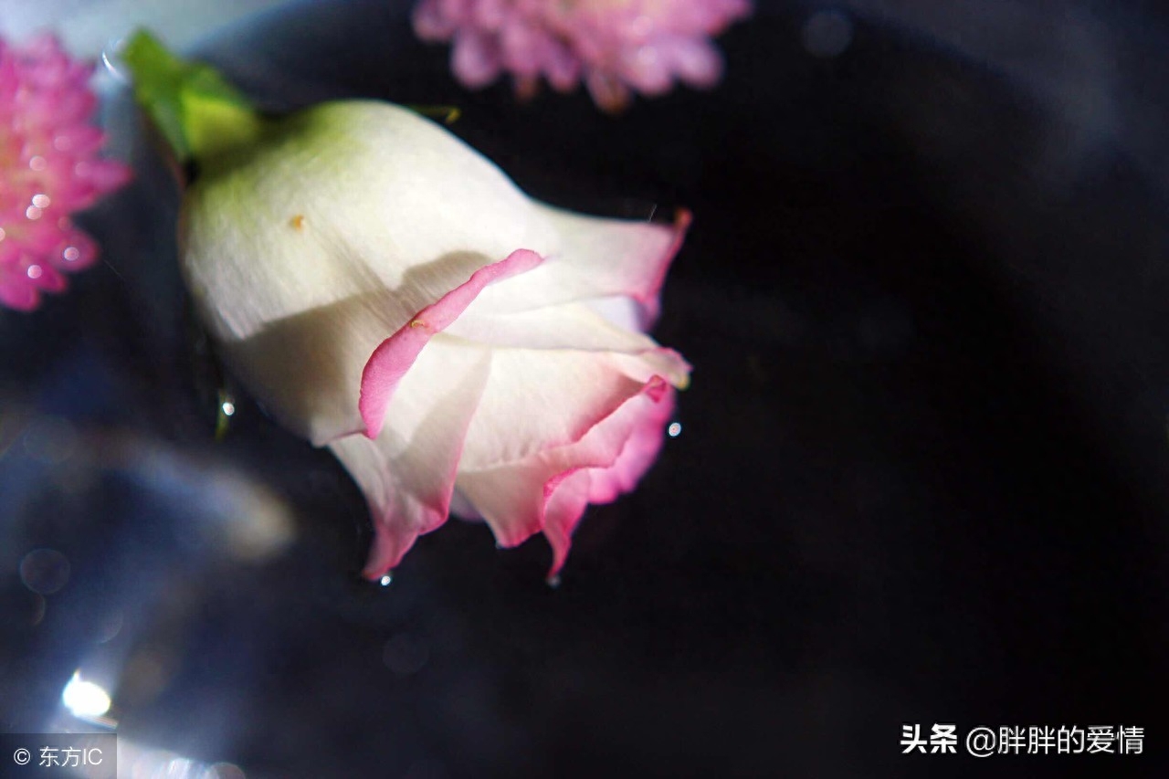 时光静美，岁月轻柔，拈一颗淡然的素心，风轻云淡，随缘自在(图6)