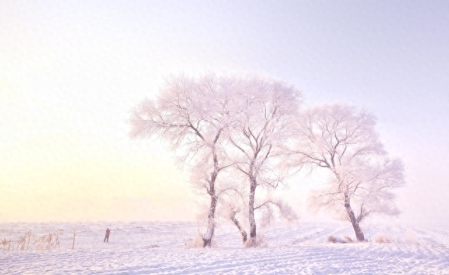 可以写进作文的神仙句子(图2)