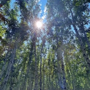 暑期即将结束，如何让孩子们顺利“收心”回归校园？(图1)