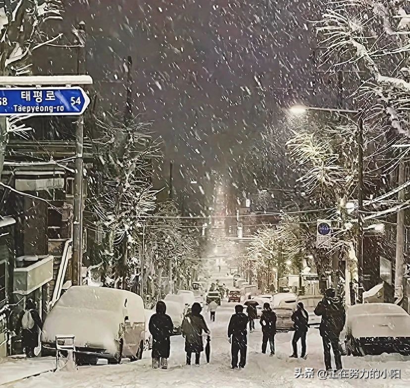 跨年文案丨平安喜乐皆为年年所盼，家人闲坐，灯火暖暖，人生足矣(图1)