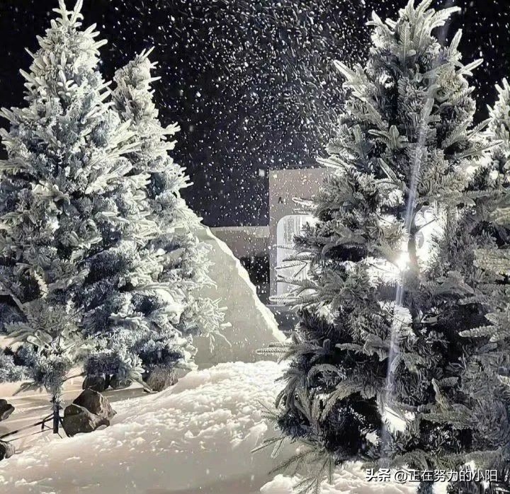 跨年文案丨平安喜乐皆为年年所盼，家人闲坐，灯火暖暖，人生足矣(图2)