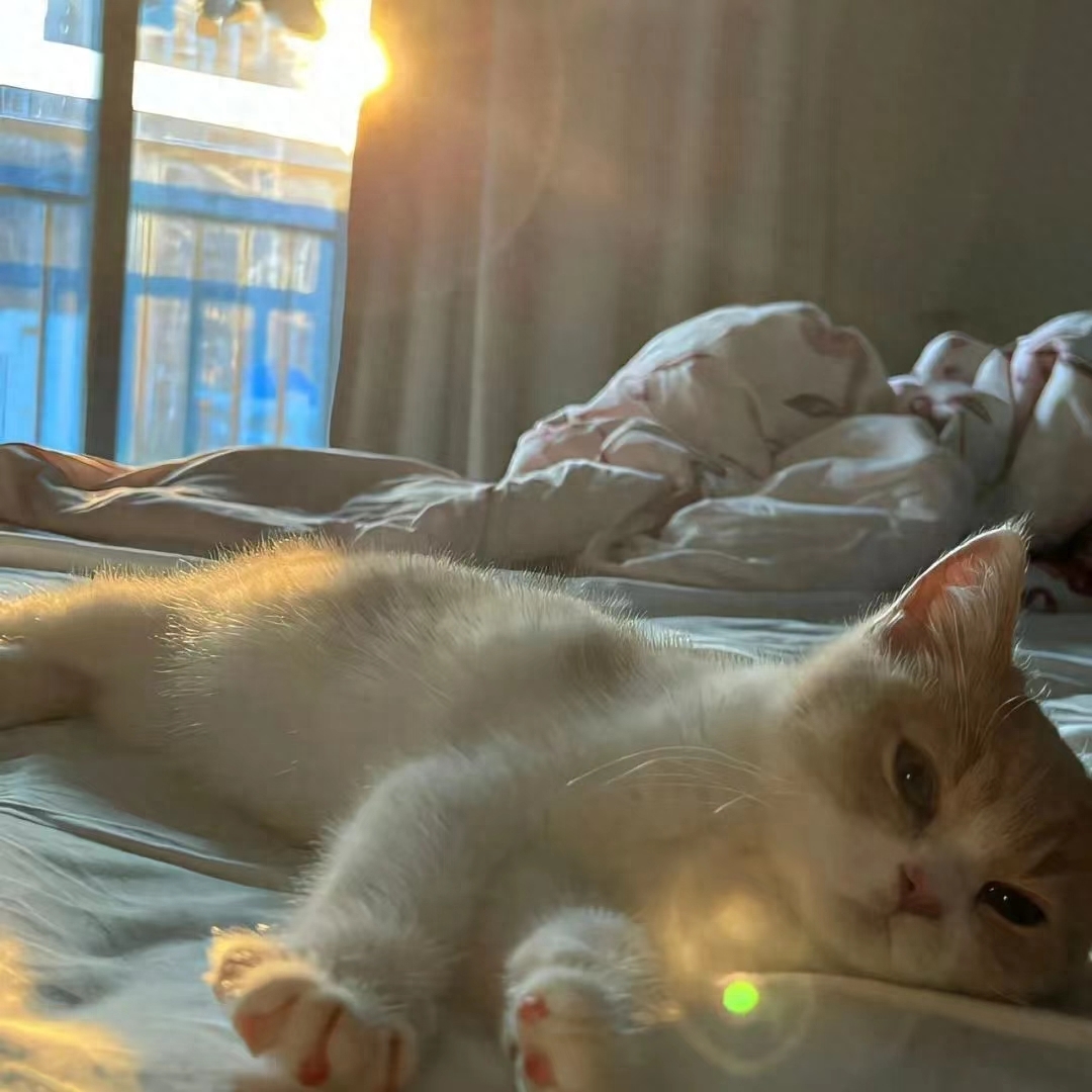 积极生活的温柔短句(图2)