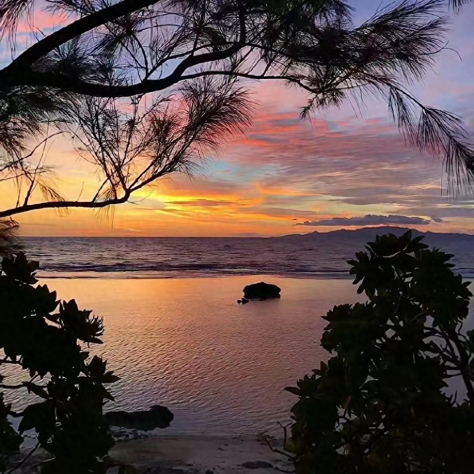 积极生活的温柔短句(图4)