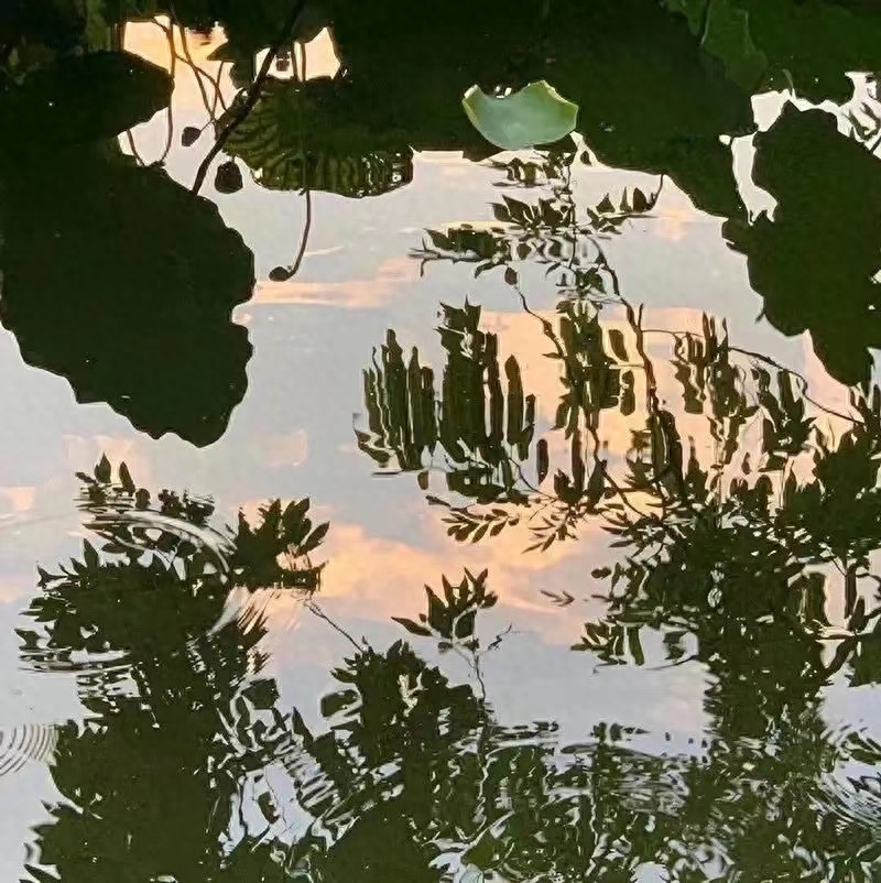 积极生活的温柔短句(图5)