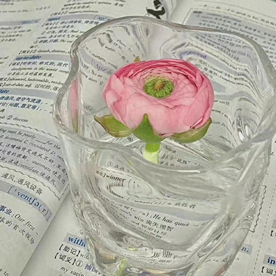 文案｜下辈子 当风 当云 无忧无虑(图8)