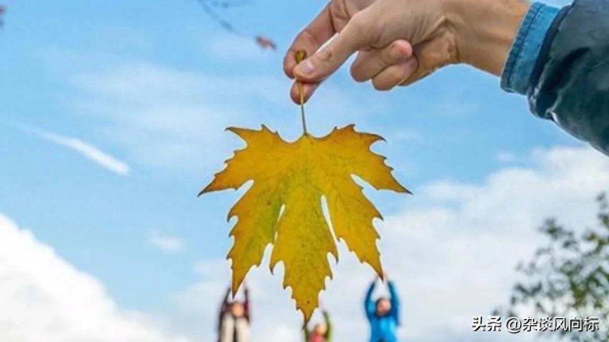 时光流转中的灵动抒情 ～写给十年前的自己(图2)