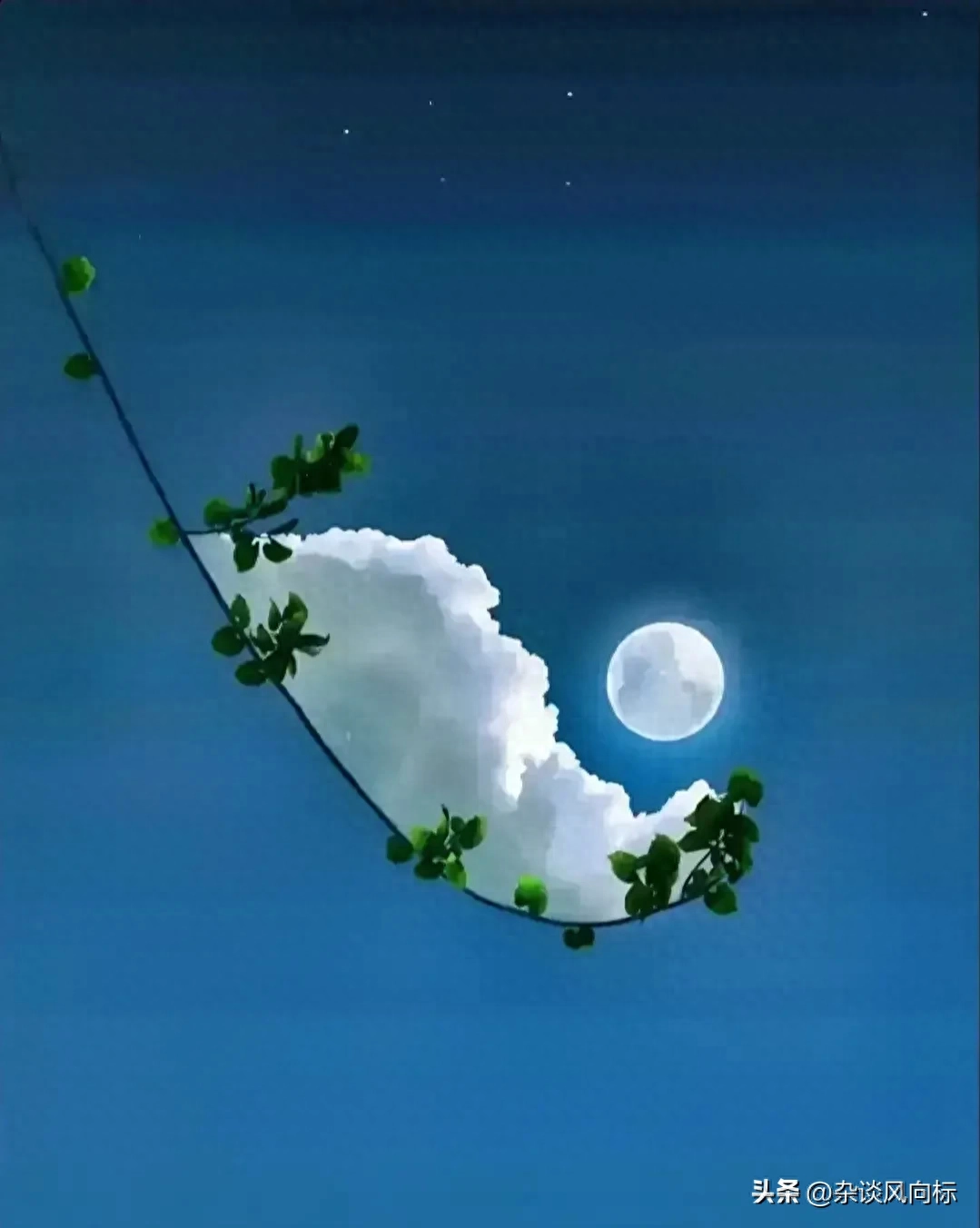 时光流转中的灵动抒情 ～写给十年前的自己(图7)