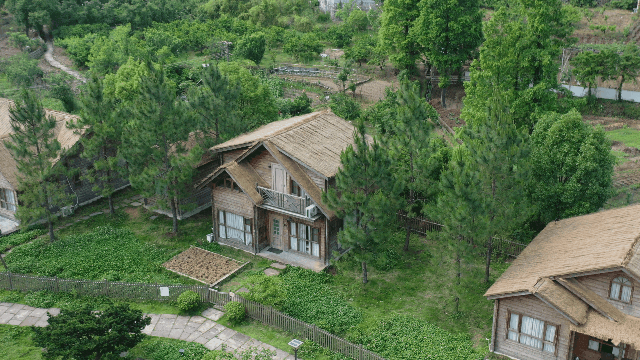 这十年：幸福到万家(图4)