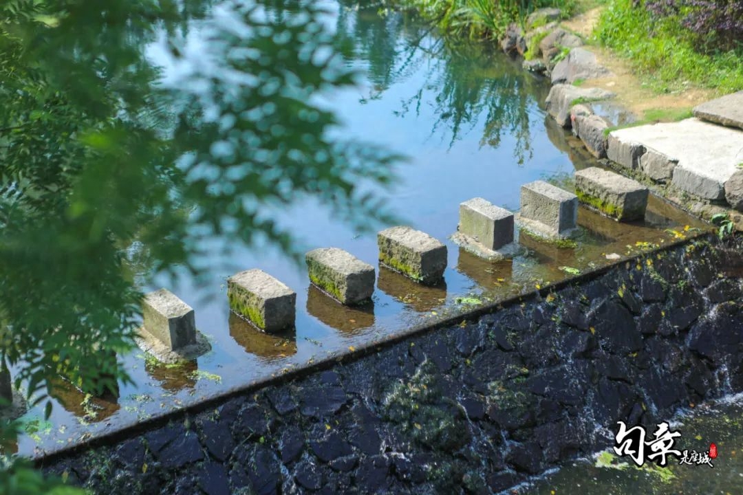 这十年：幸福到万家(图5)