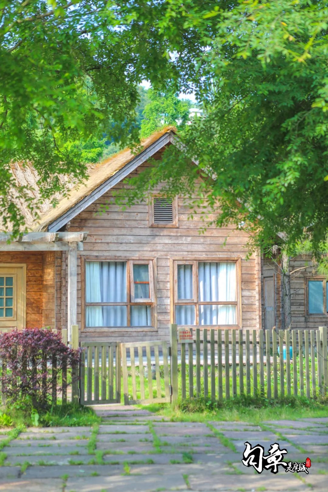 这十年：幸福到万家(图6)