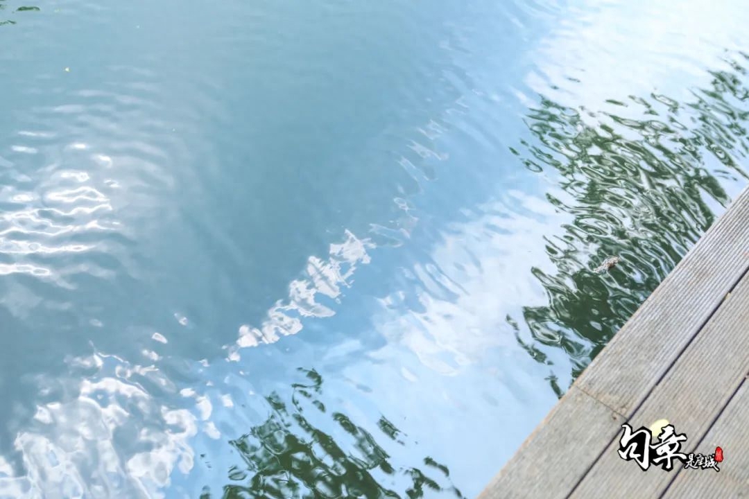 这十年：幸福到万家(图7)