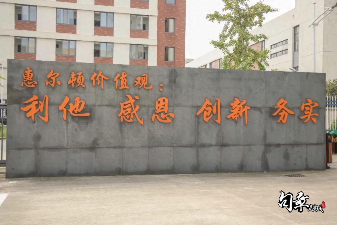 这十年：幸福到万家(图18)