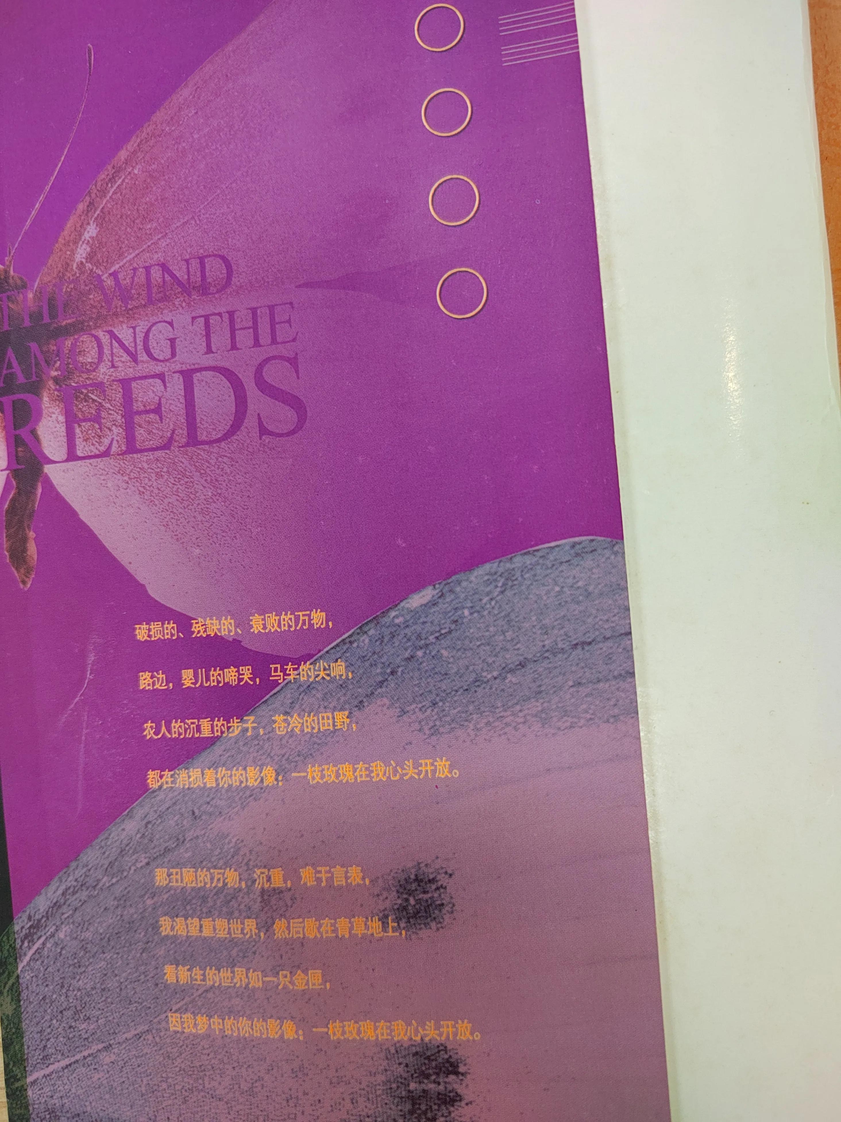 落落惊鸿 珍藏十年的唯美惊艳的绝世孤本 苇间风（叶芝的诗）(图2)