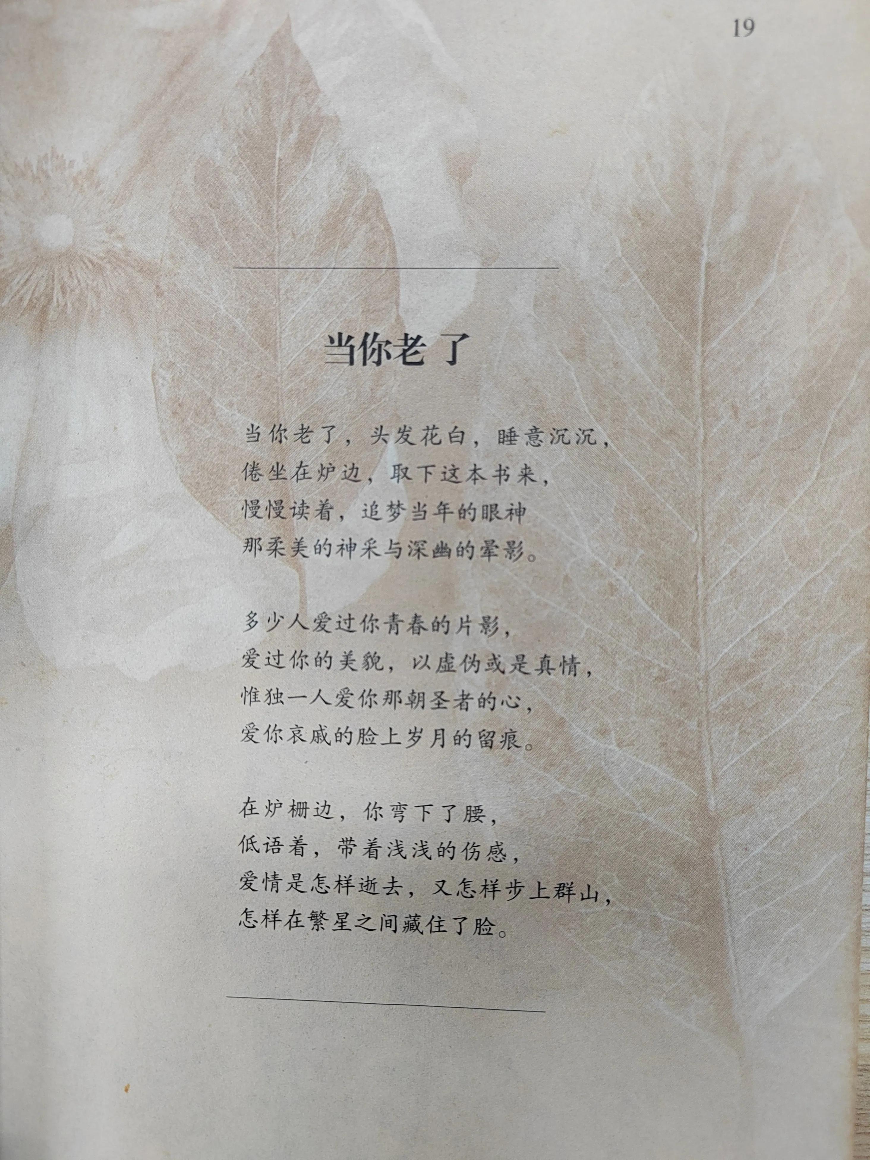 落落惊鸿 珍藏十年的唯美惊艳的绝世孤本 苇间风（叶芝的诗）(图4)