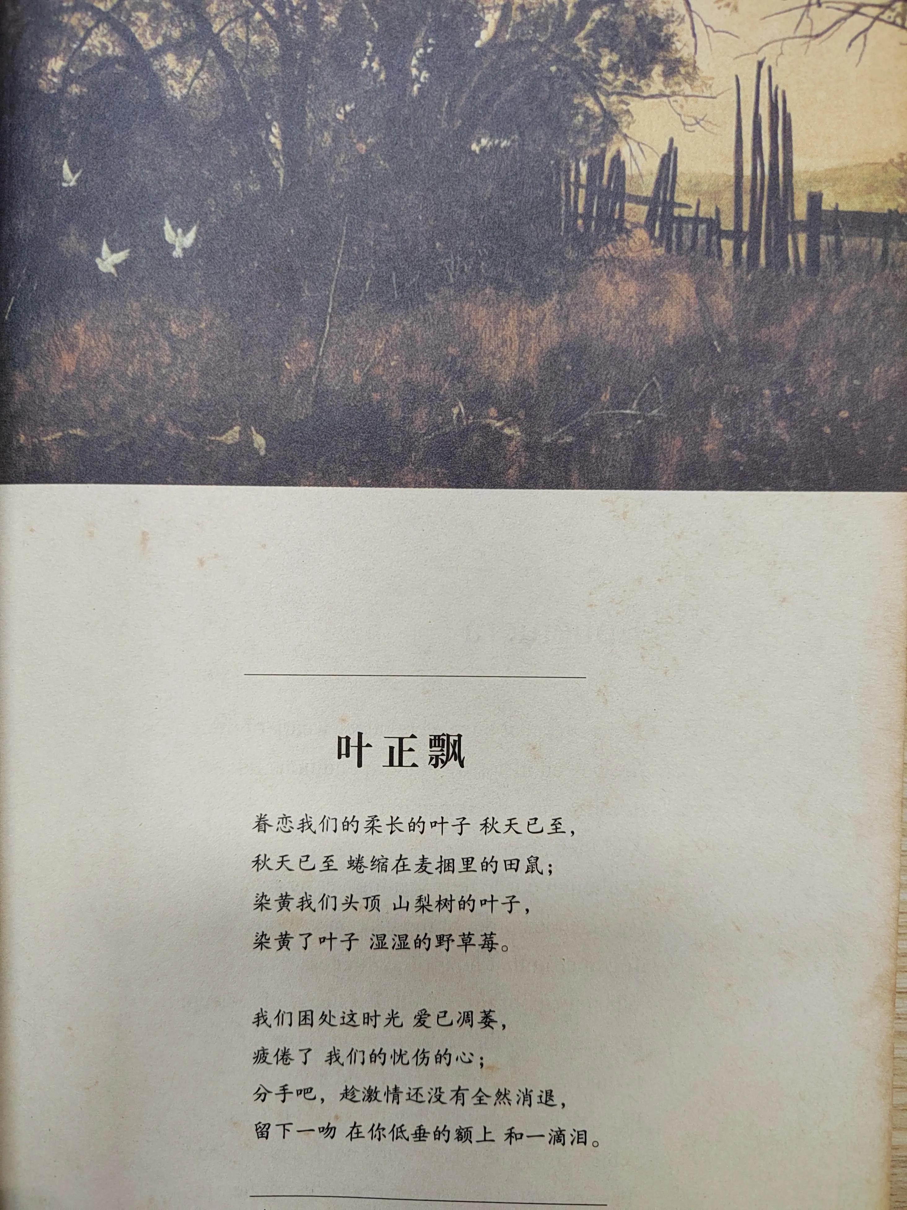 落落惊鸿 珍藏十年的唯美惊艳的绝世孤本 苇间风（叶芝的诗）(图5)