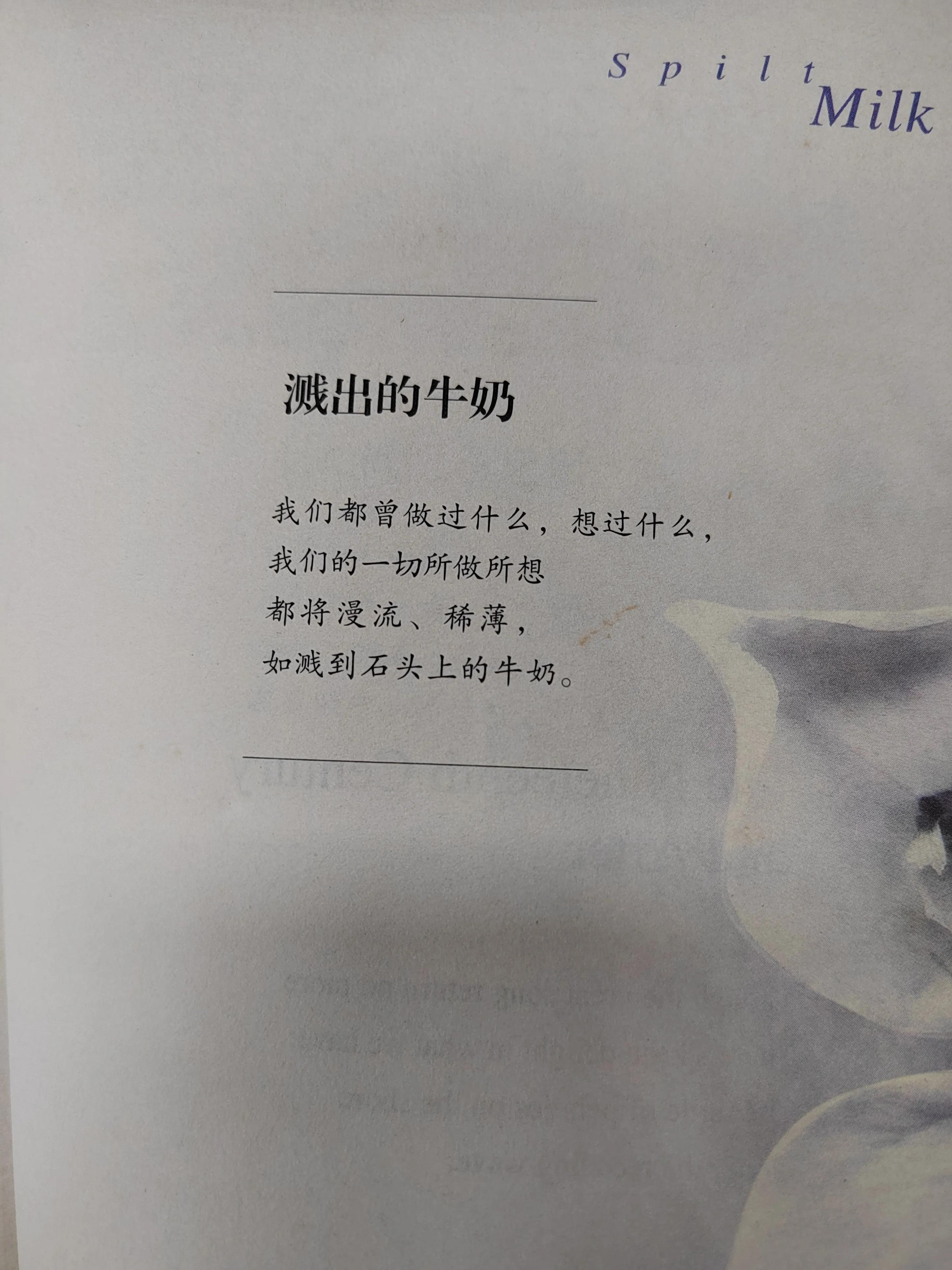 落落惊鸿 珍藏十年的唯美惊艳的绝世孤本 苇间风（叶芝的诗）(图9)