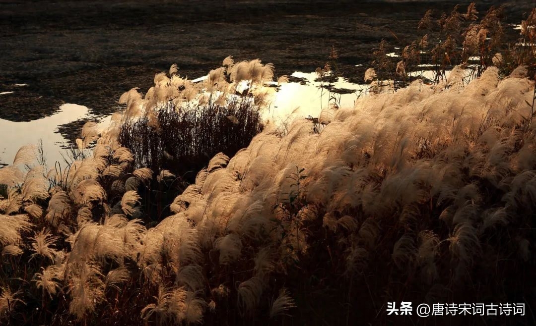 秋天，当见故人(图5)