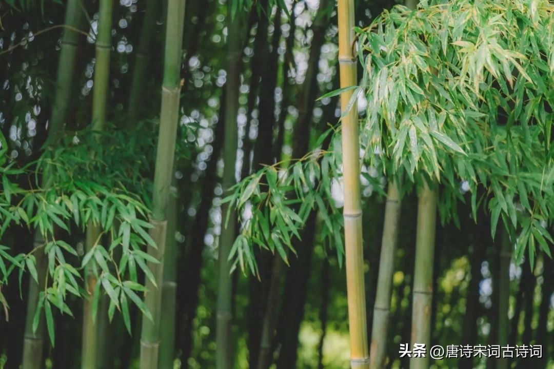 秋天，当见故人(图6)