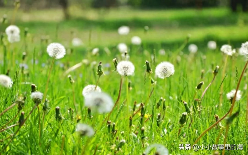 励志文案句子(图3)