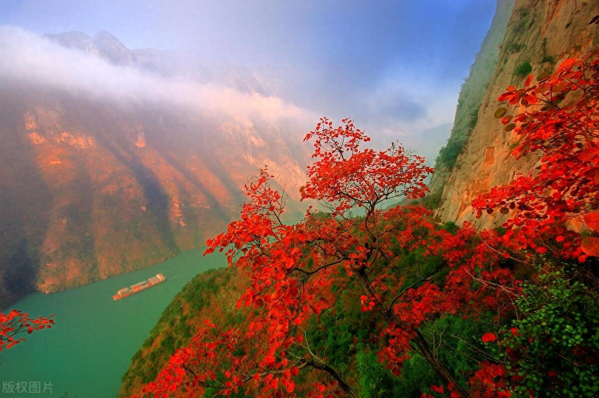 遇见你，就像遇见了一片迷人的海洋，让我深陷其中(图1)