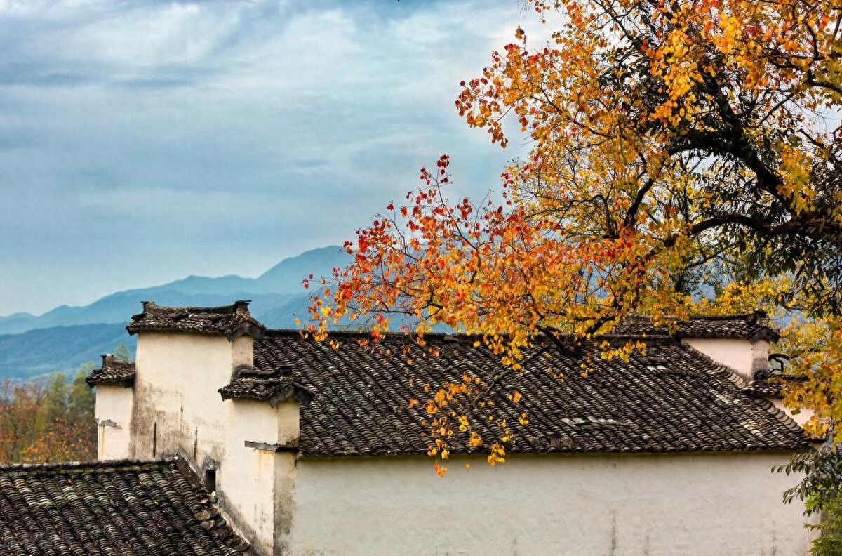 遇见你，就像遇见了一片迷人的海洋，让我深陷其中(图3)