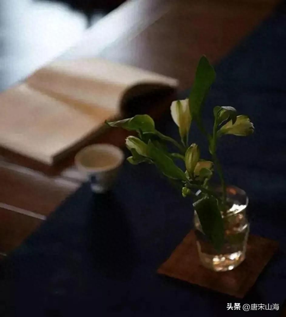 若将岁月开成花，人生无处不芳华(图1)