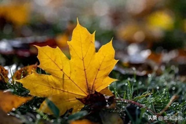 若将岁月开成花，人生无处不芳华(图2)