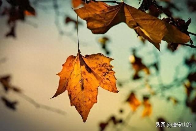 若将岁月开成花，人生无处不芳华(图3)