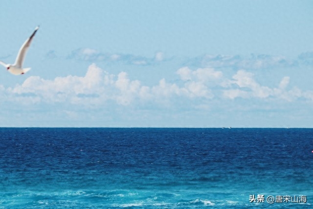 若将岁月开成花，人生无处不芳华(图4)