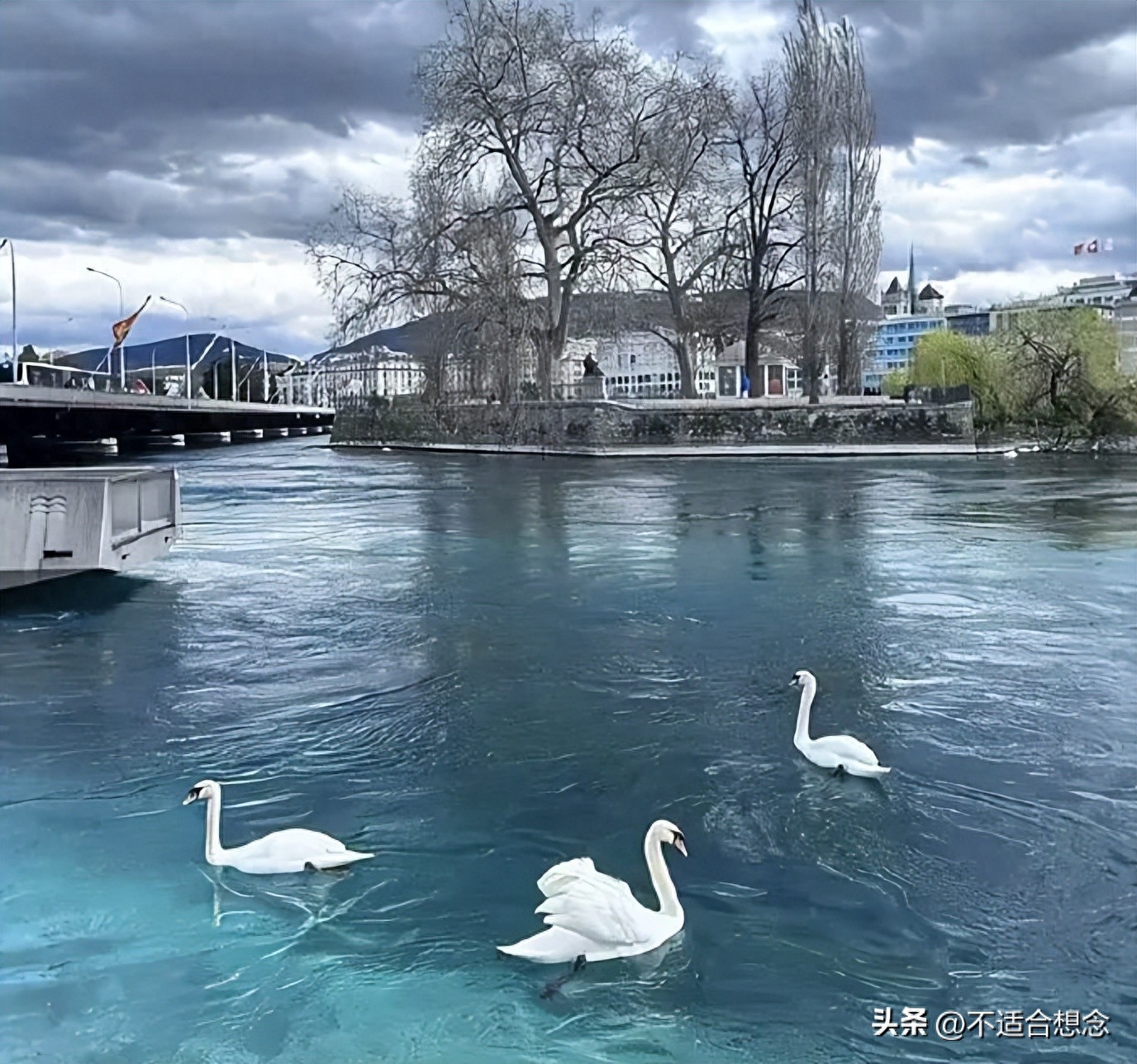 摘抄写激励你逆光前行的励志句子吧(图5)