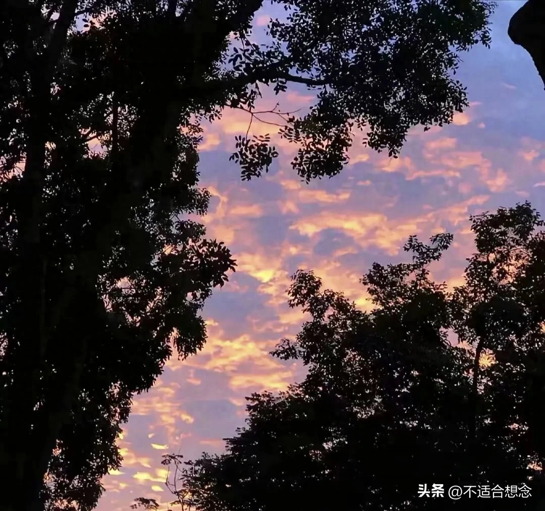 摘抄写激励你逆光前行的励志句子吧(图6)