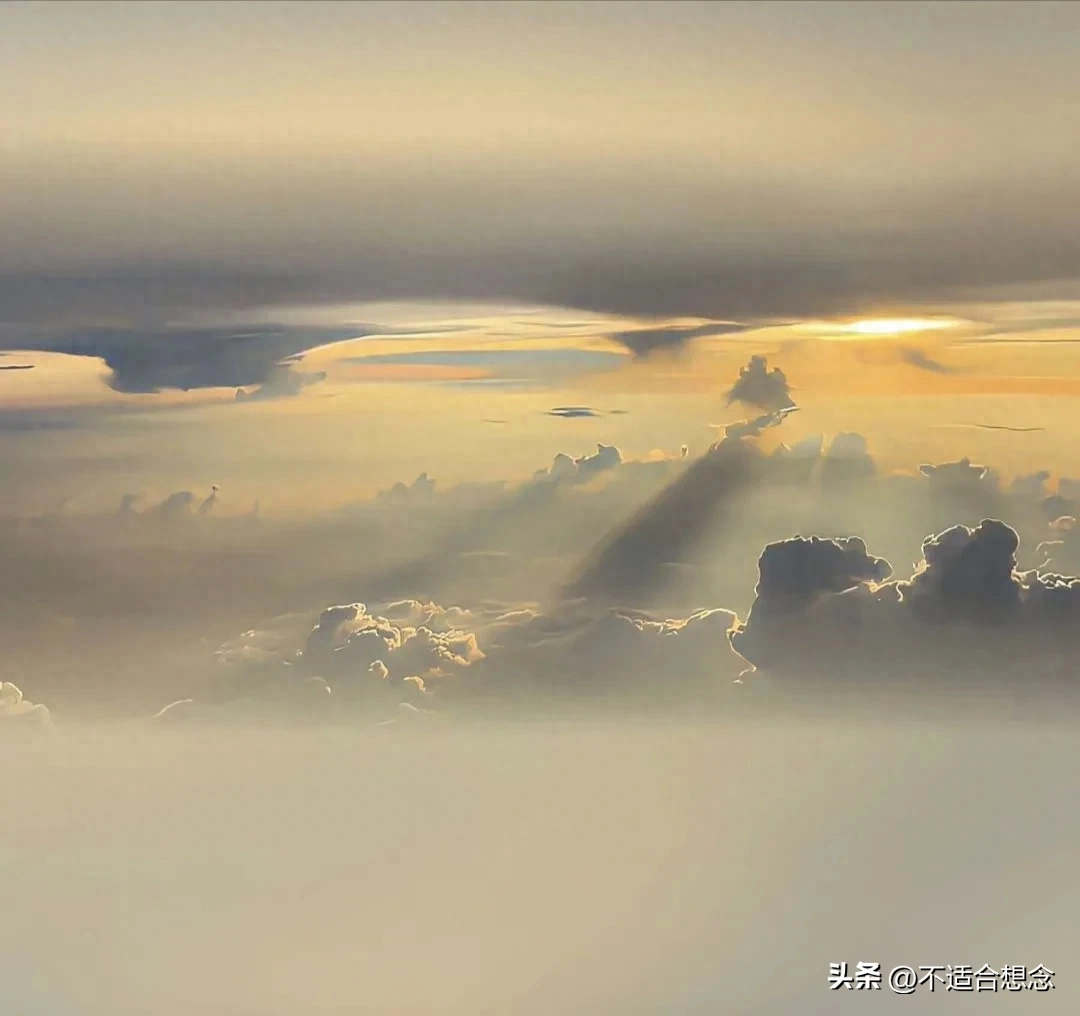 摘抄写激励你逆光前行的励志句子吧(图8)