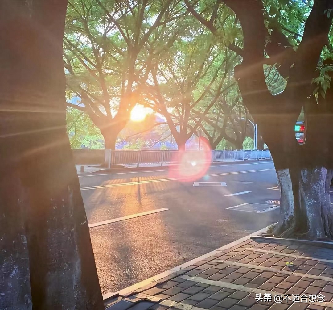 摘抄写激励你逆光前行的励志句子吧(图11)