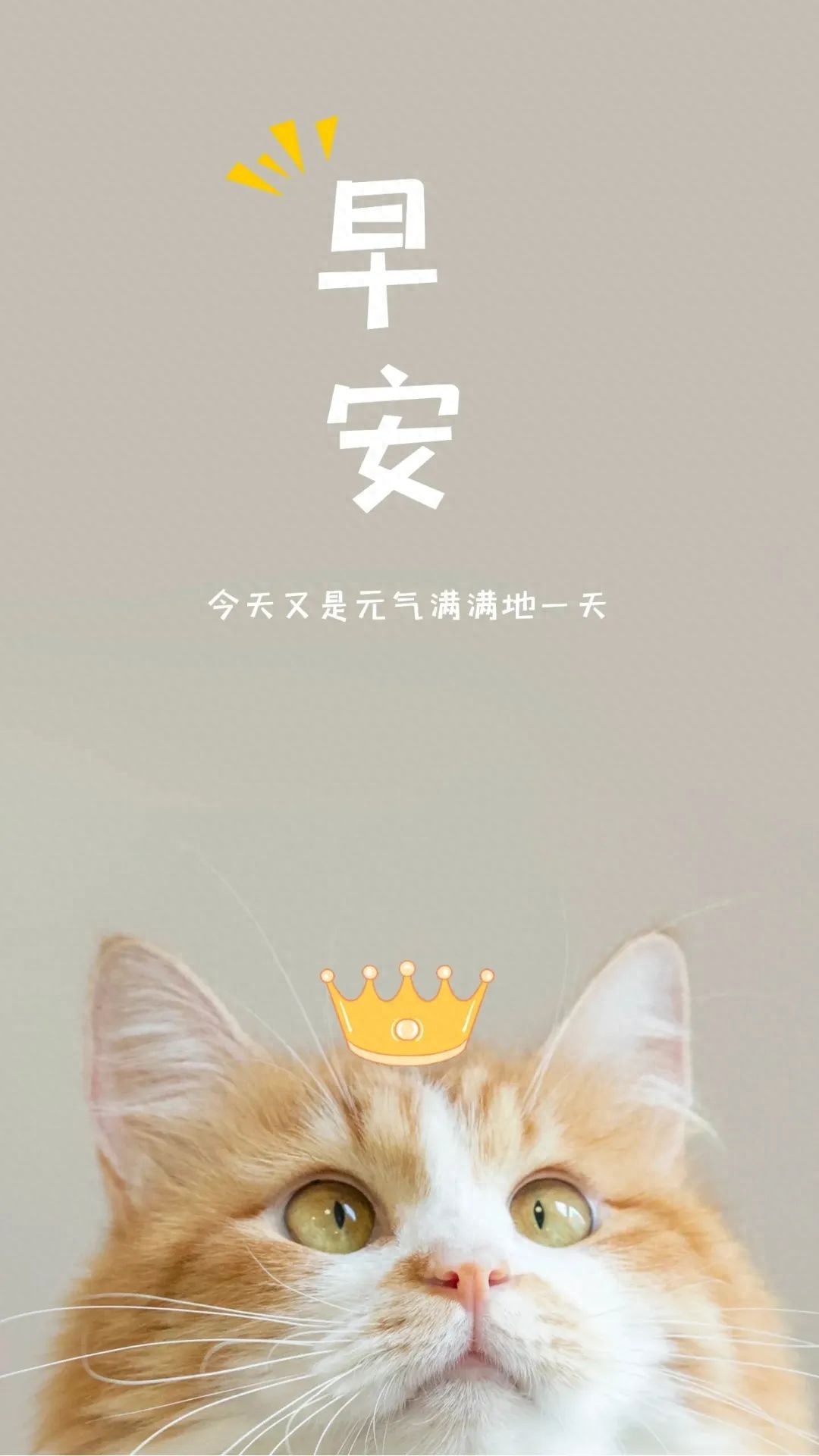 25个高级有质感的早安心语励志语录，句句简短走心(图3)