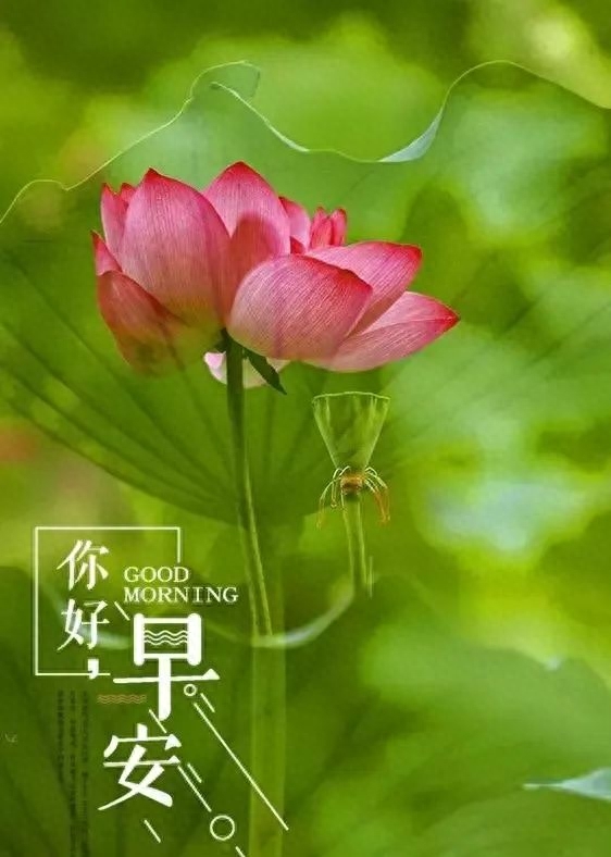 25个高级有质感的早安心语励志语录，句句简短走心(图6)