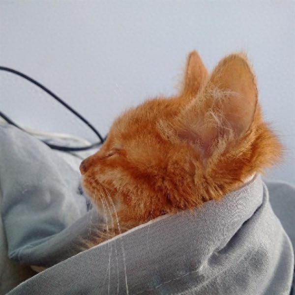 唯美动人的土味情话，文艺深情，一秒沦陷(图2)