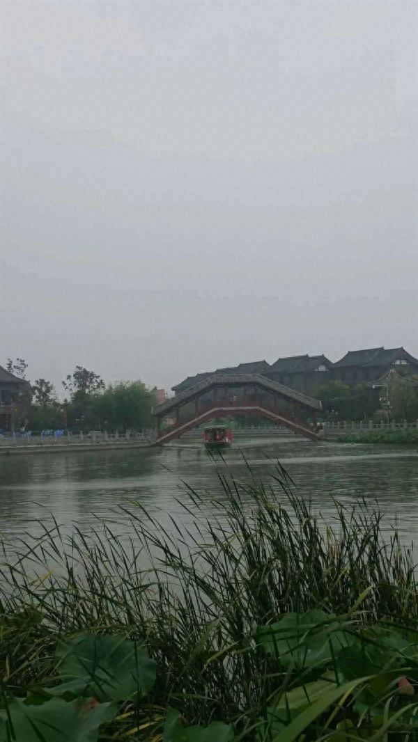 唯美动人的土味情话，文艺深情，一秒沦陷(图3)